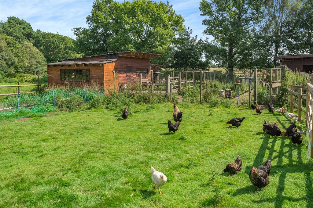 Paddocks