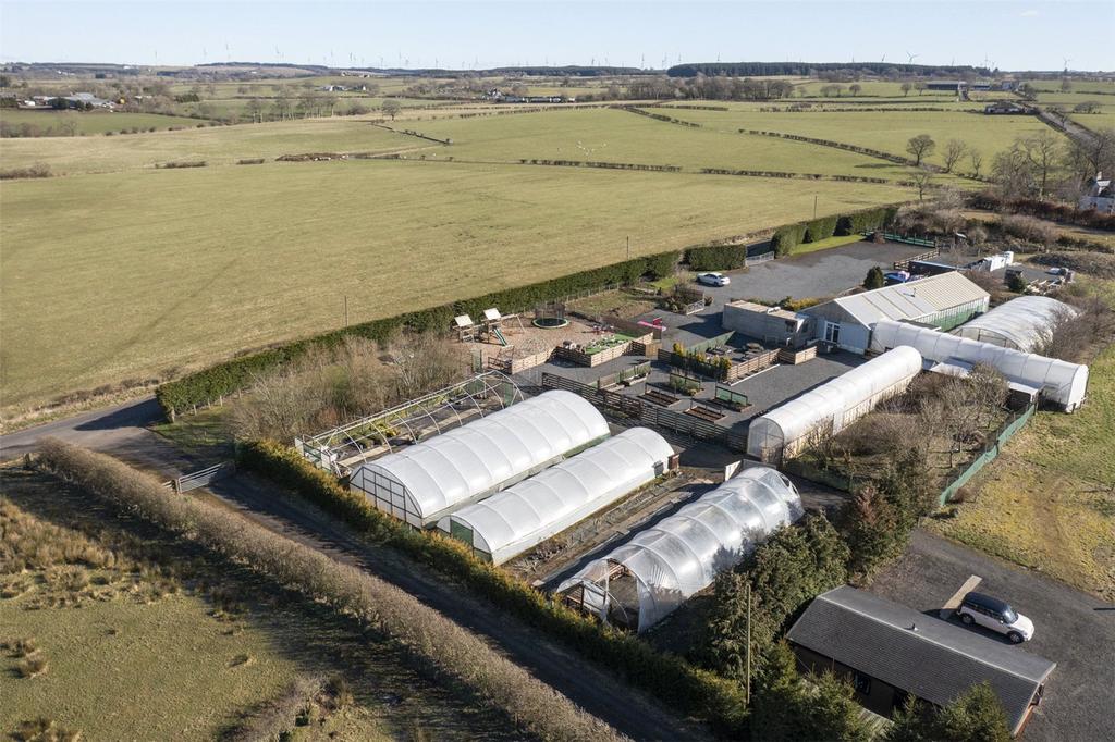 Poly Tunnels