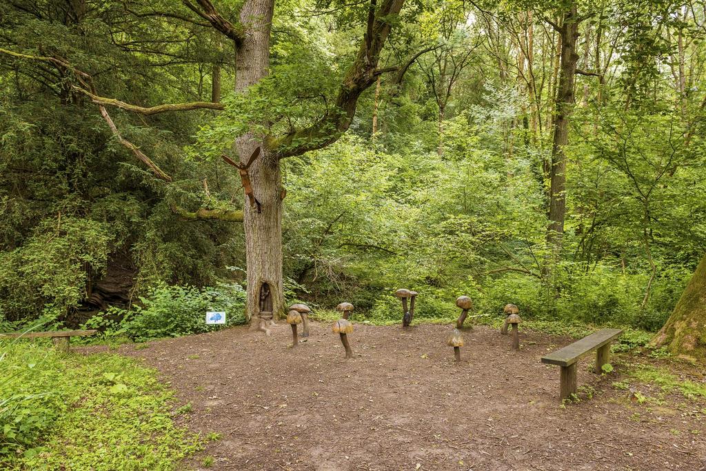 Woodland 4.jpg