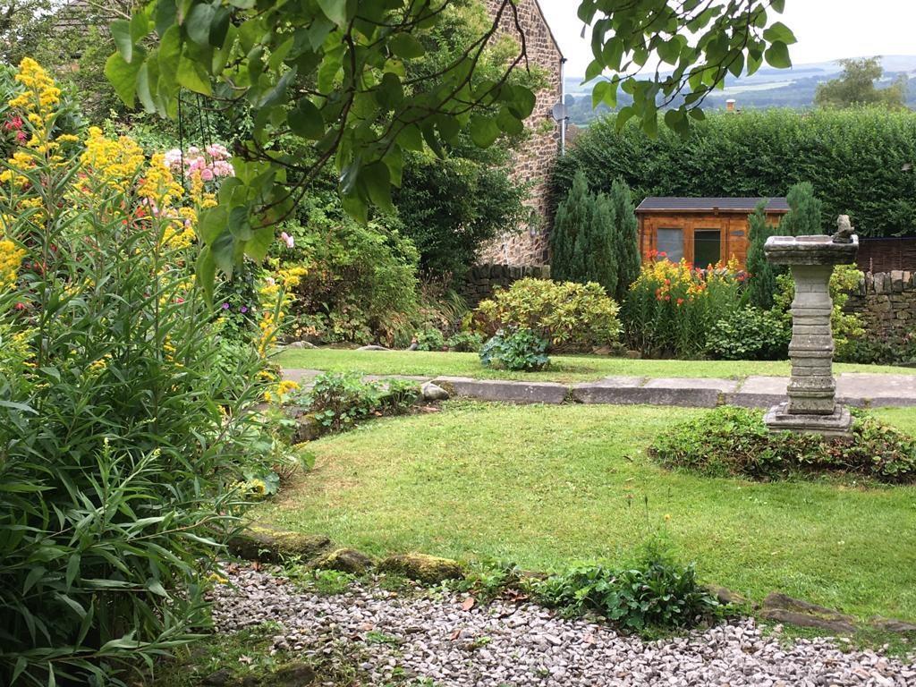 Summer garden.jpg