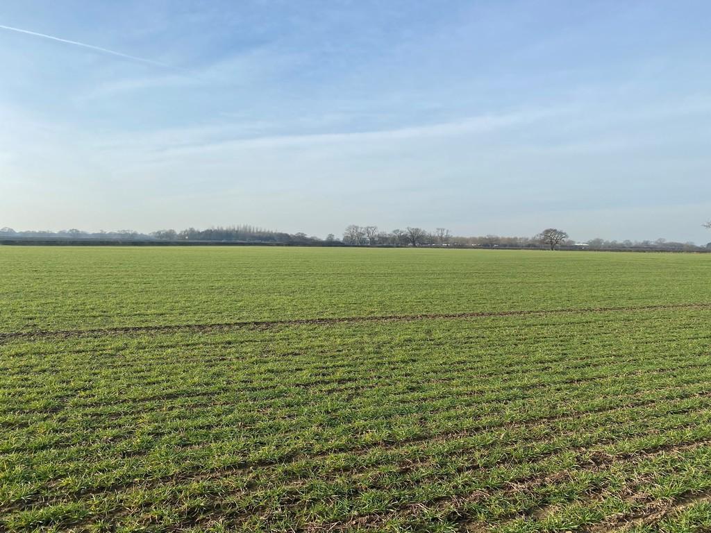 29.91 Acres, Upper Poppleton, near York Land for sale £400,000