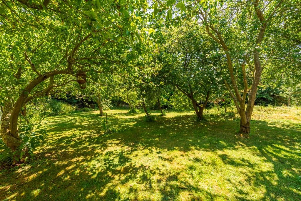 Grounds