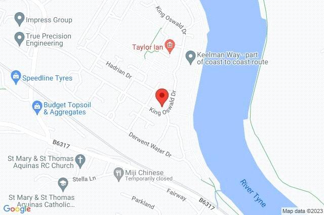 Google Maps Image