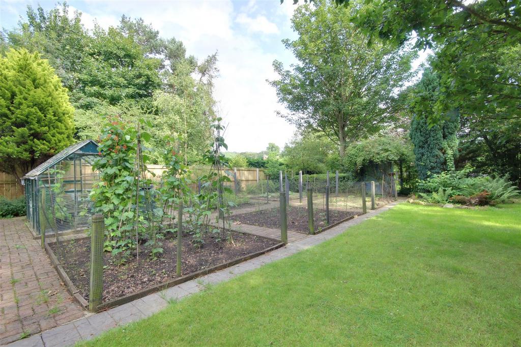 Vegetable/Fruit Garden