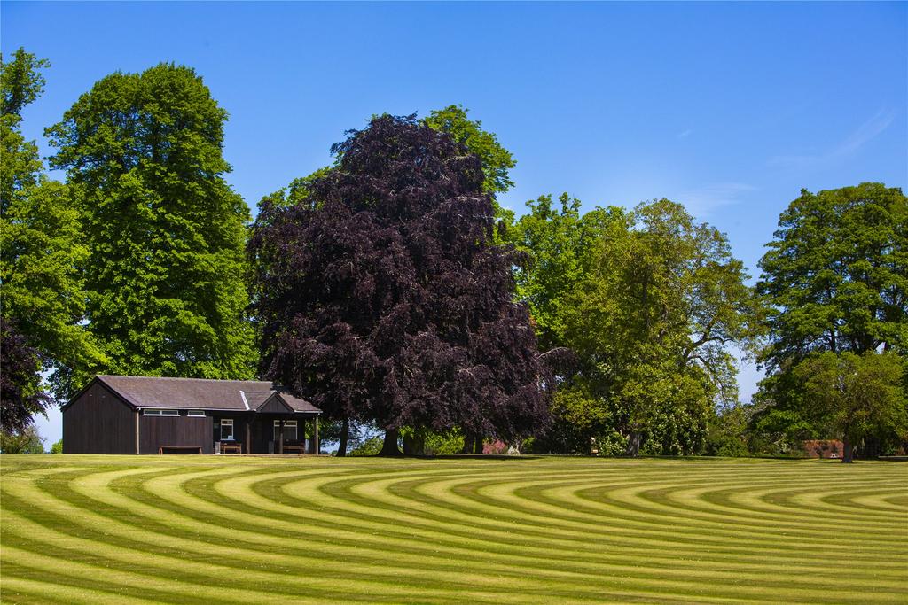 Cricket Pitch