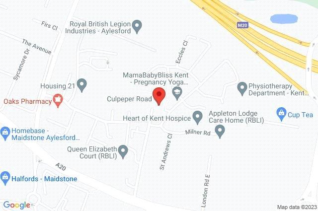 Google Maps Image