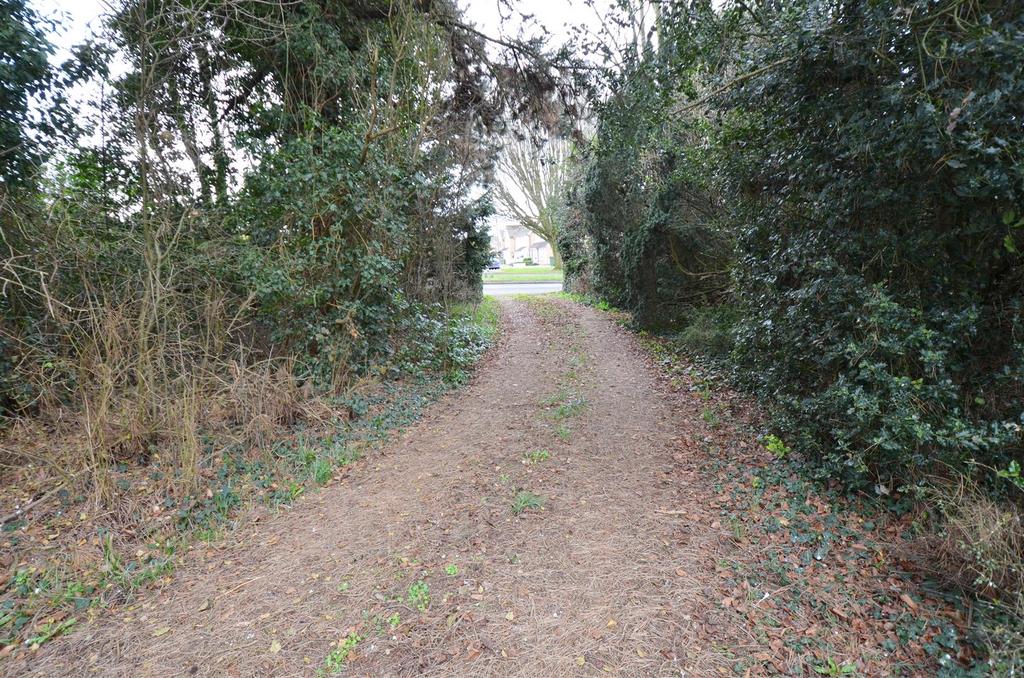 Driveway.jpg