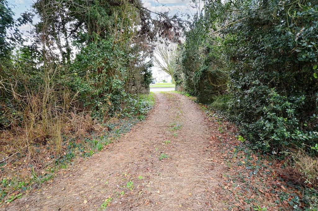 Driveway.jpg