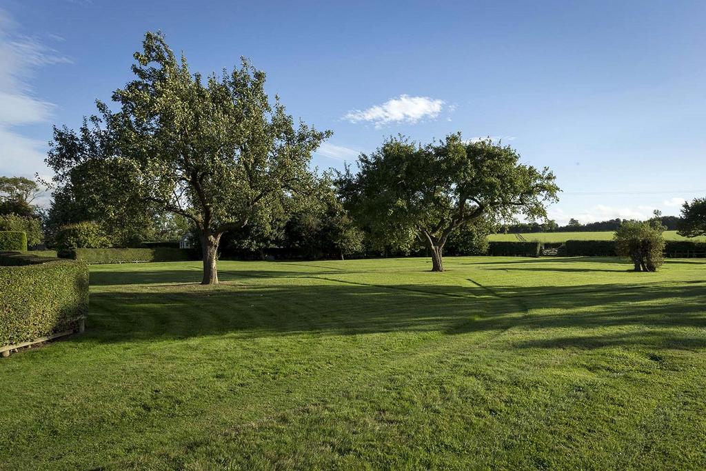 Orchard