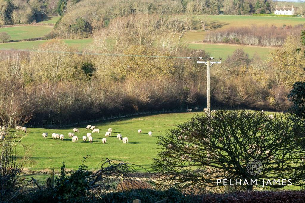 Countryside Views