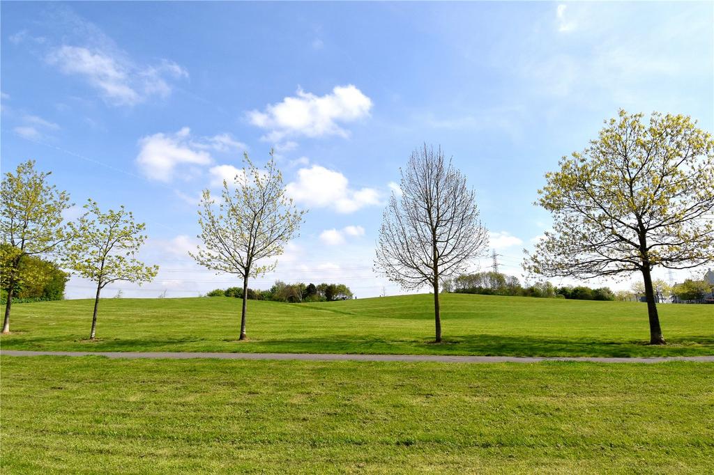 Parkland