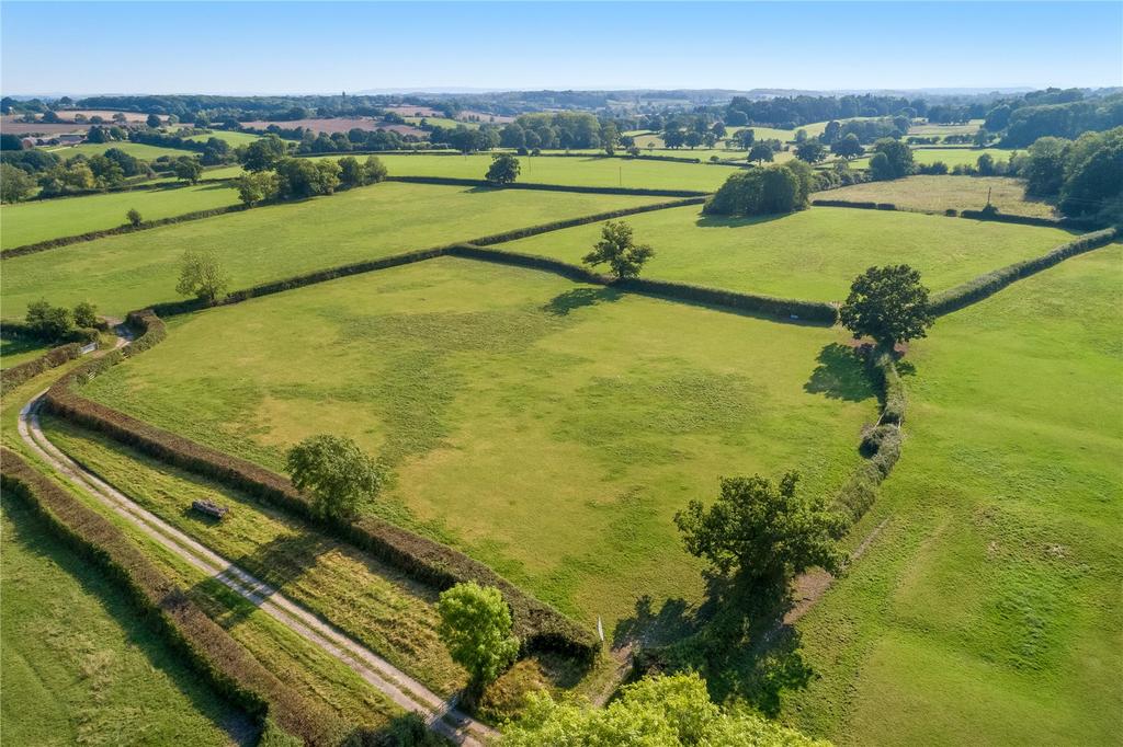 Productive Pasture