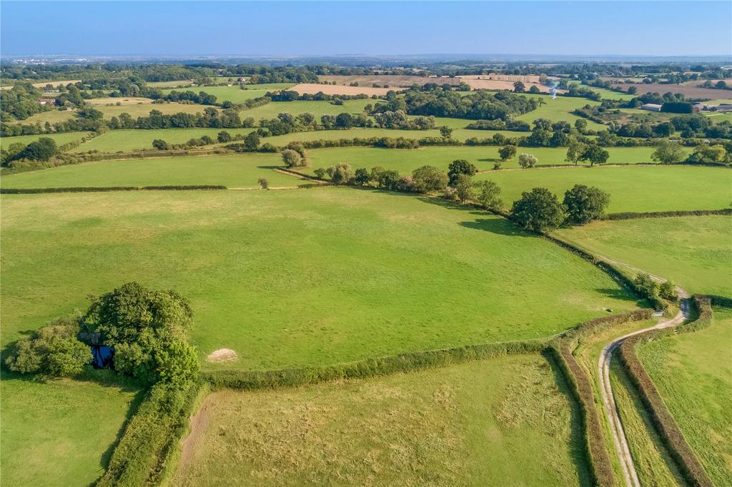 Attractive Pasture