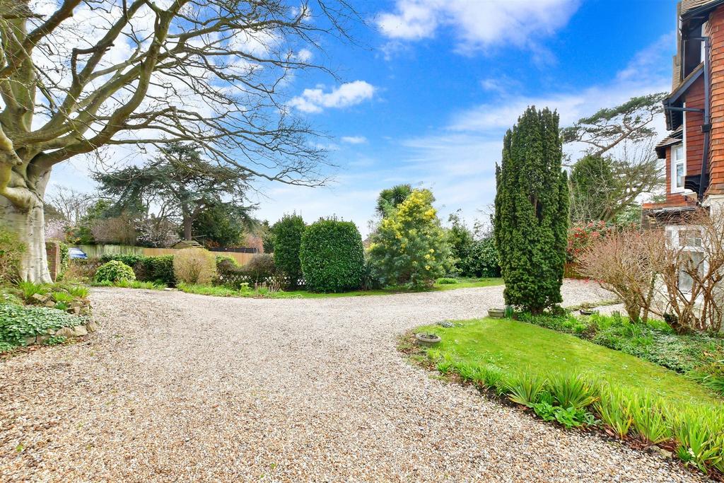 Driveway/Parking