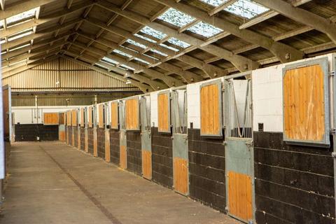 3 bedroom equestrian property to rent - Ox Drove, Newbury
