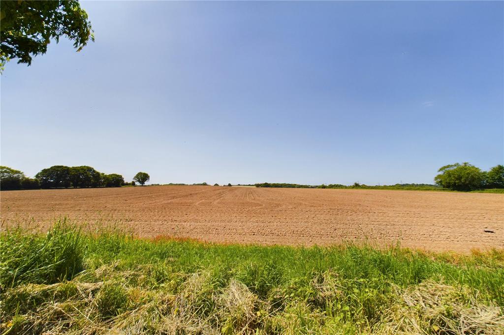 Field To Rear