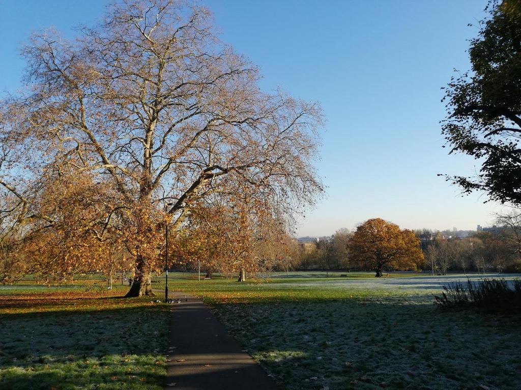 Ladywell Fields.jpg