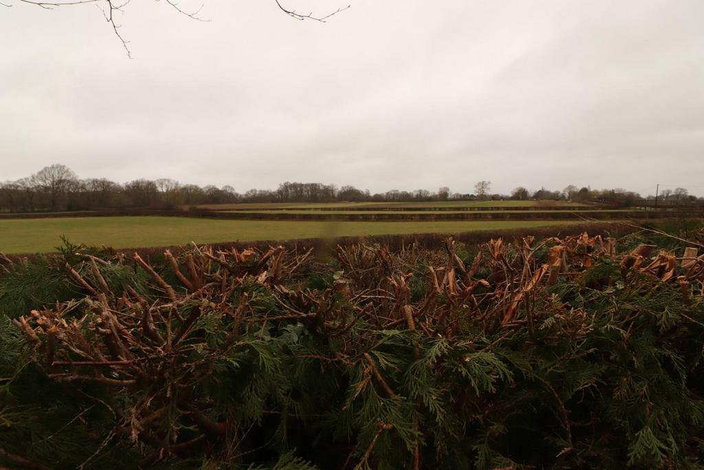 Img 5515.jpg
