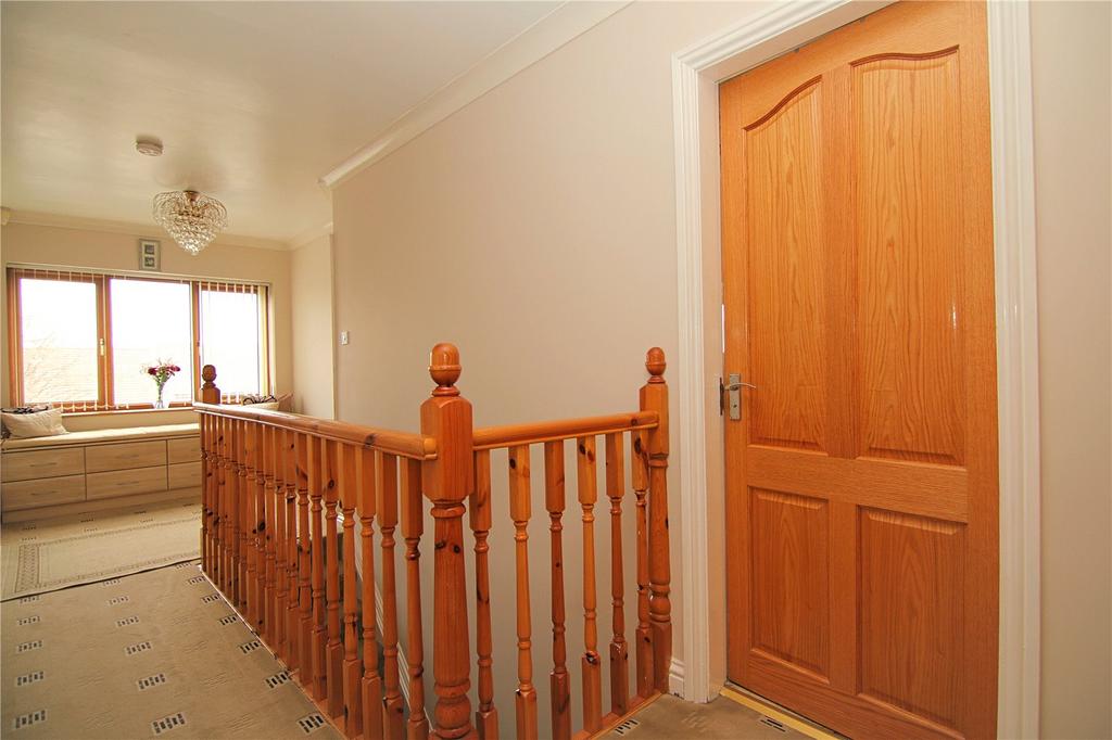 Picture 23