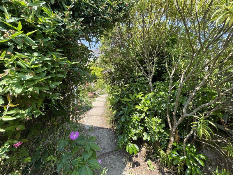 Sunny Garden