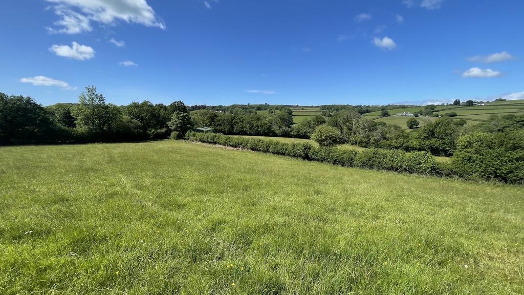 Land (second image)