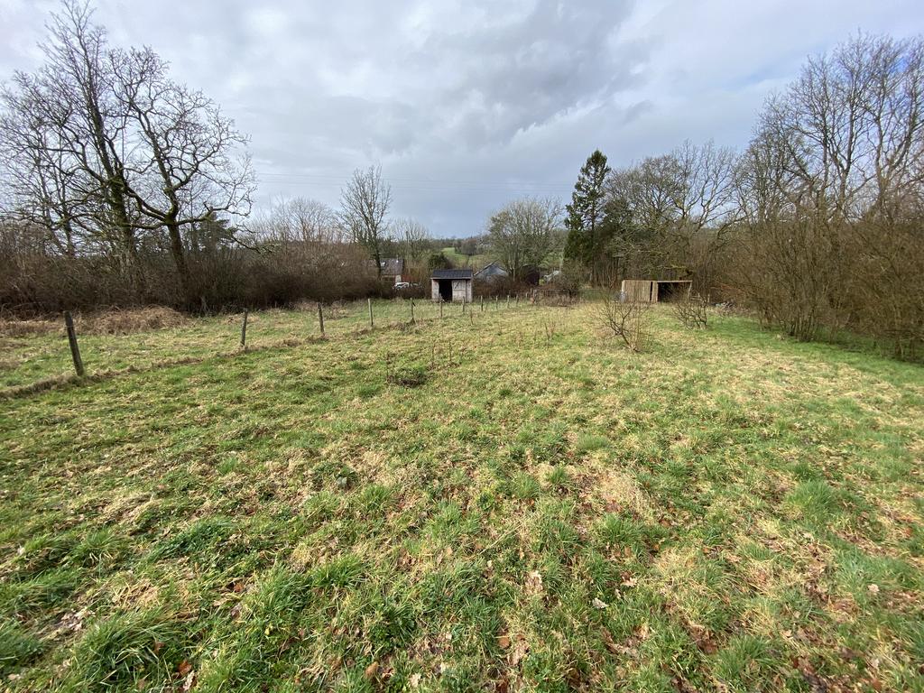 Land (fourth image)