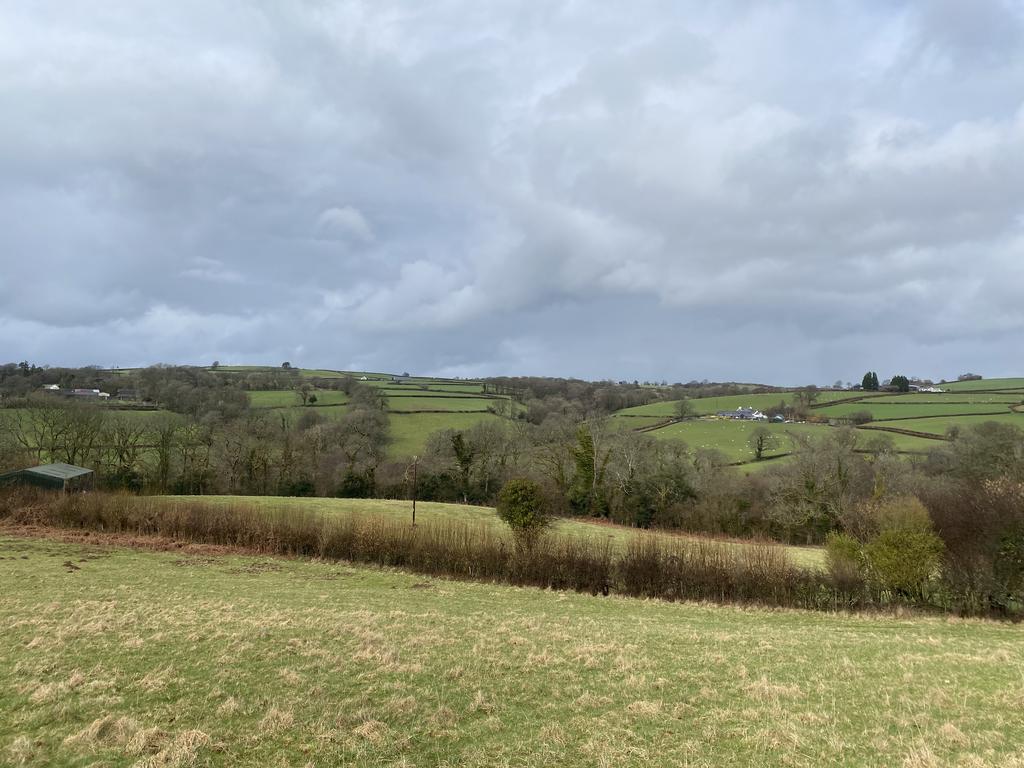 Views from the property