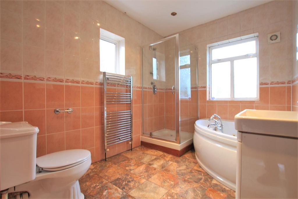 Downstairs Shower