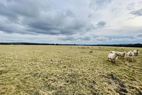 Land for sale, Llangennech, Nr Llanelli