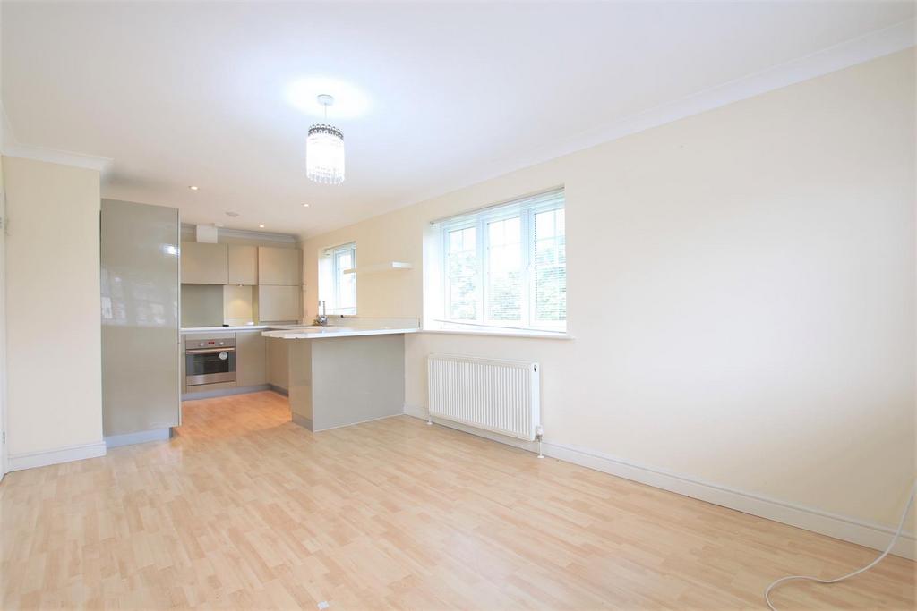 Open Plan Kitchen/ Reception Room