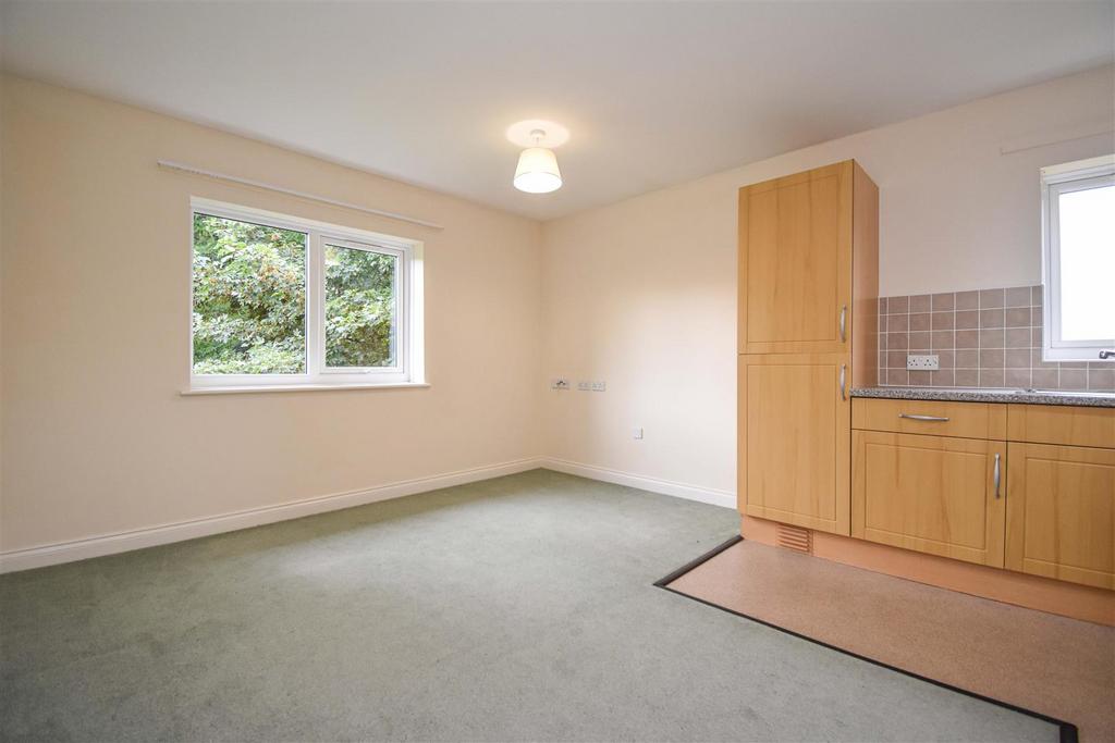 Open Plan Living Room and Kitchen