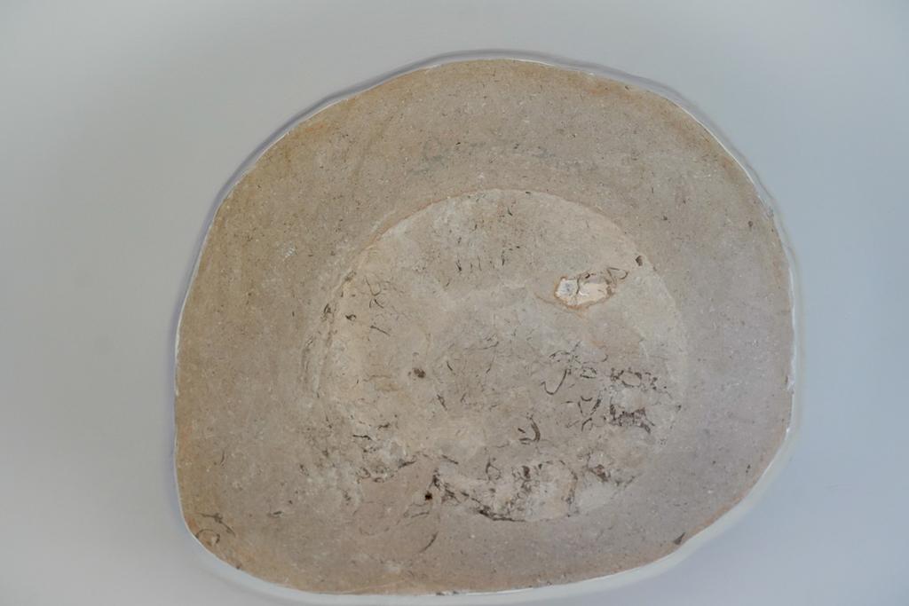 Fossil