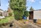 Garden -  celia cresc-01.jpg