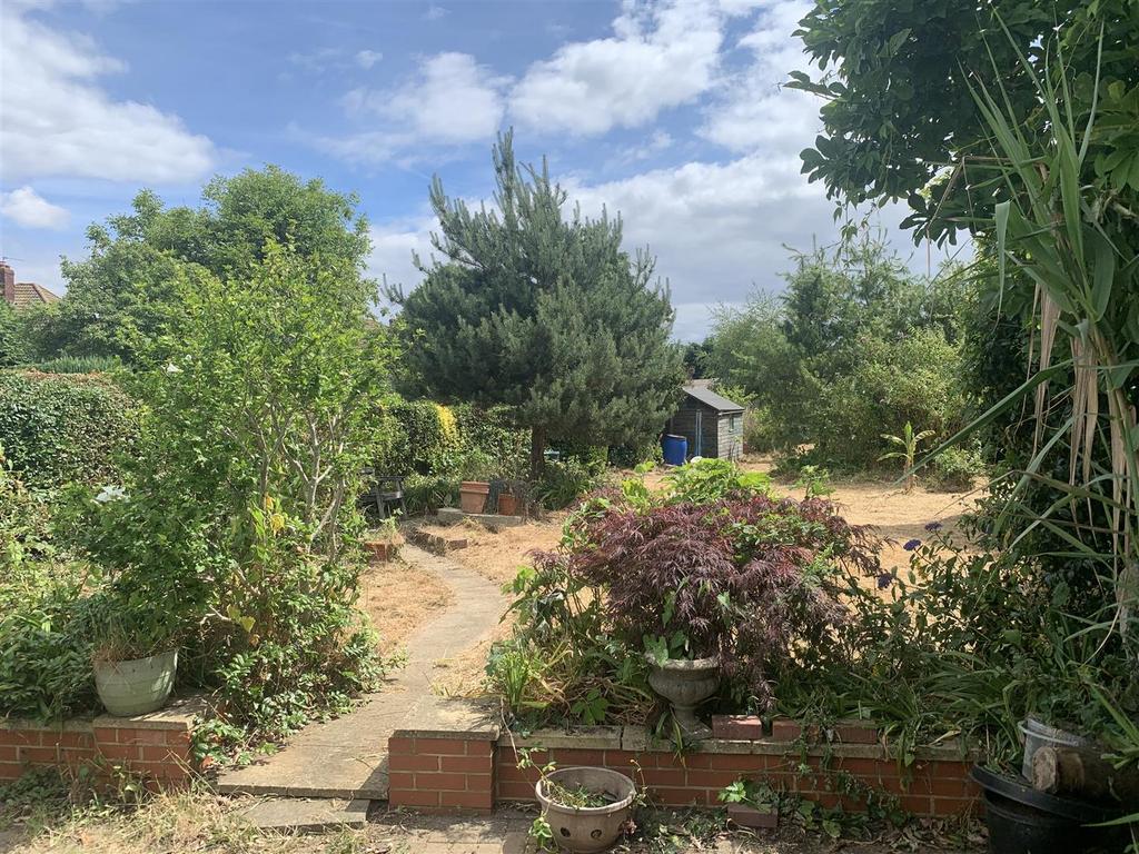 Garden 4.jpg