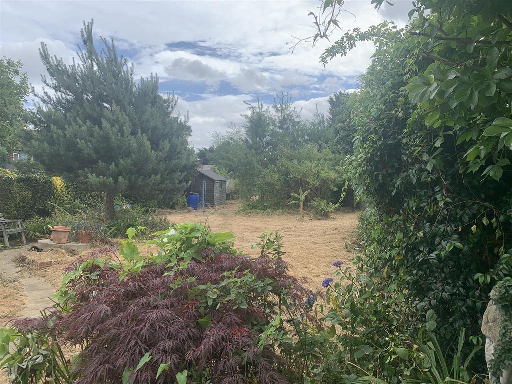 Garden 9.jpg