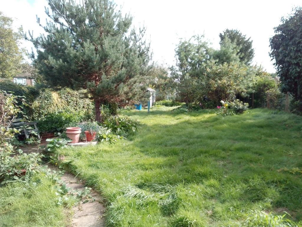 Garden No1 September.jpg