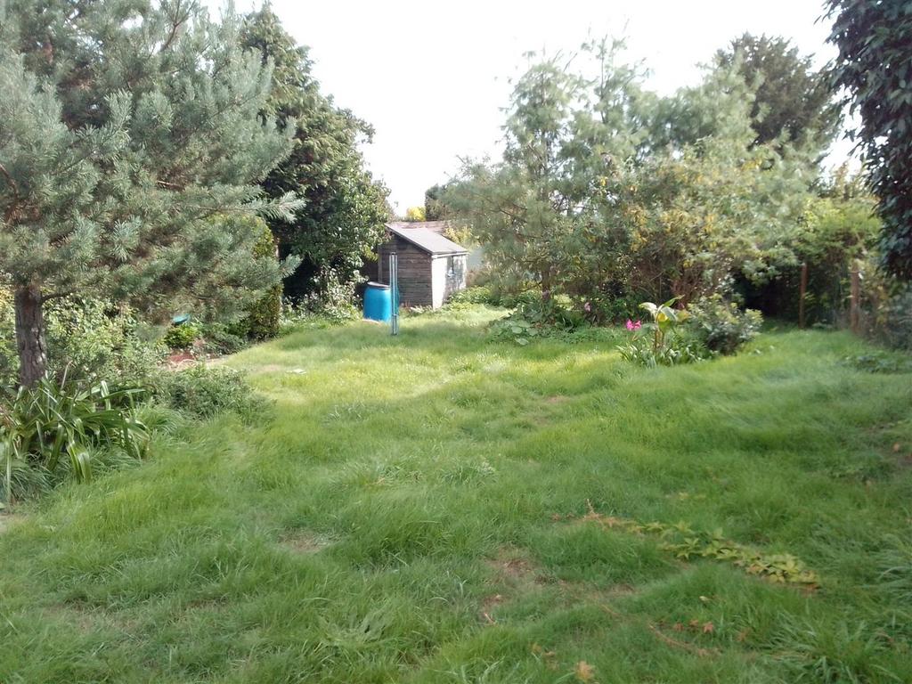 Garden No2 Sepember.jpg