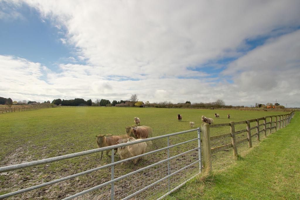Additional Land