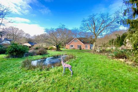undefined, Holt Forest, Wimborne BH21