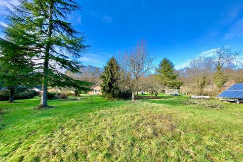 undefined, Holt Forest, Wimborne BH21