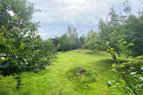undefined, Holt Forest, Wimborne BH21
