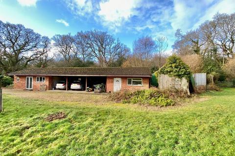undefined, Holt Forest, Wimborne BH21