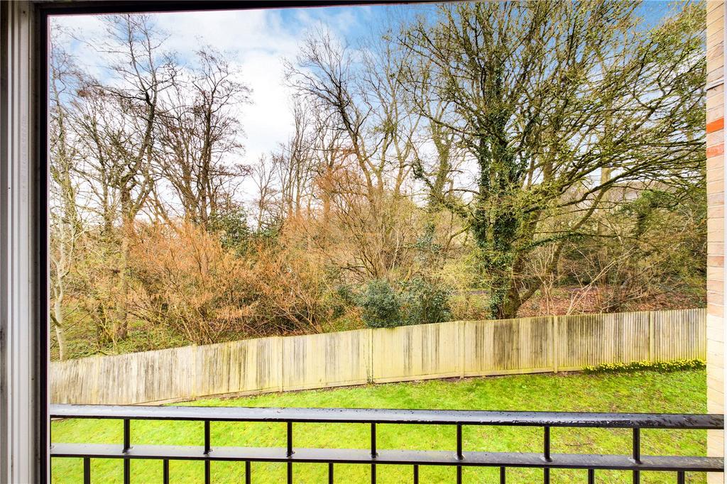 View Of Garden