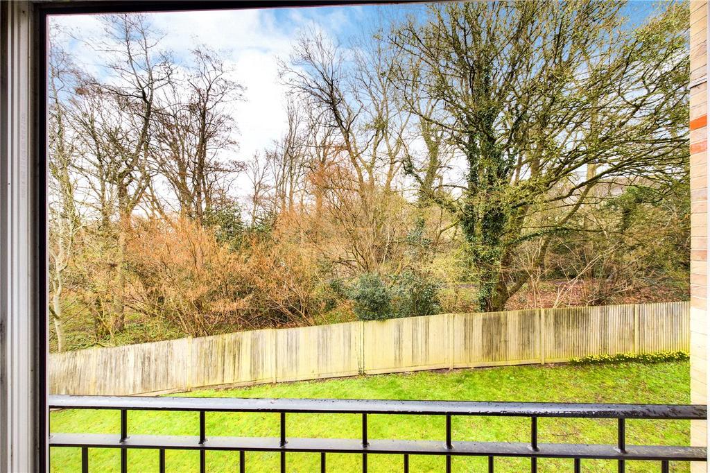 View Of Garden
