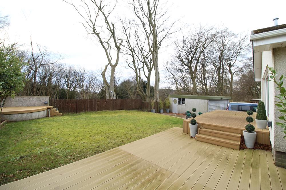Rear garden 2