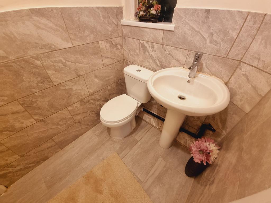 Photograph 5