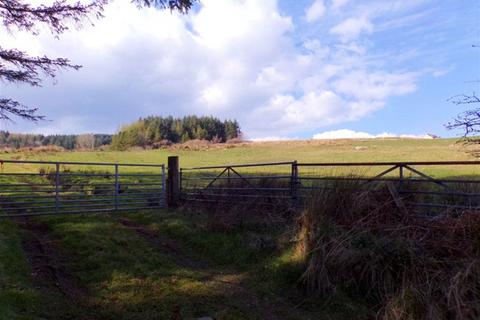 undefined, Saddell, Campbeltown