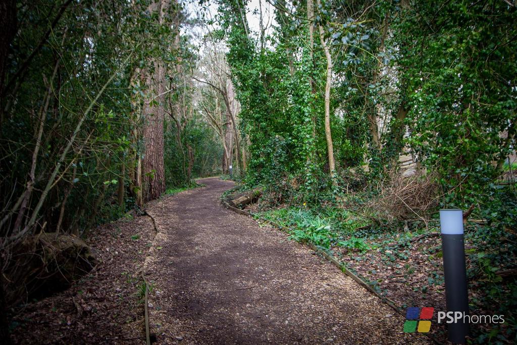 Footpath to town