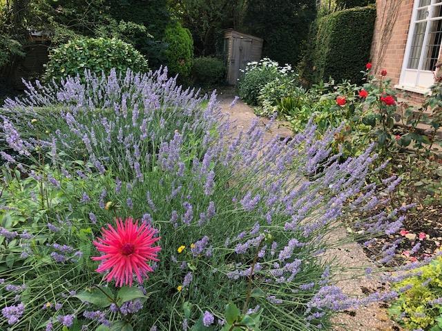 Image4.jpeg