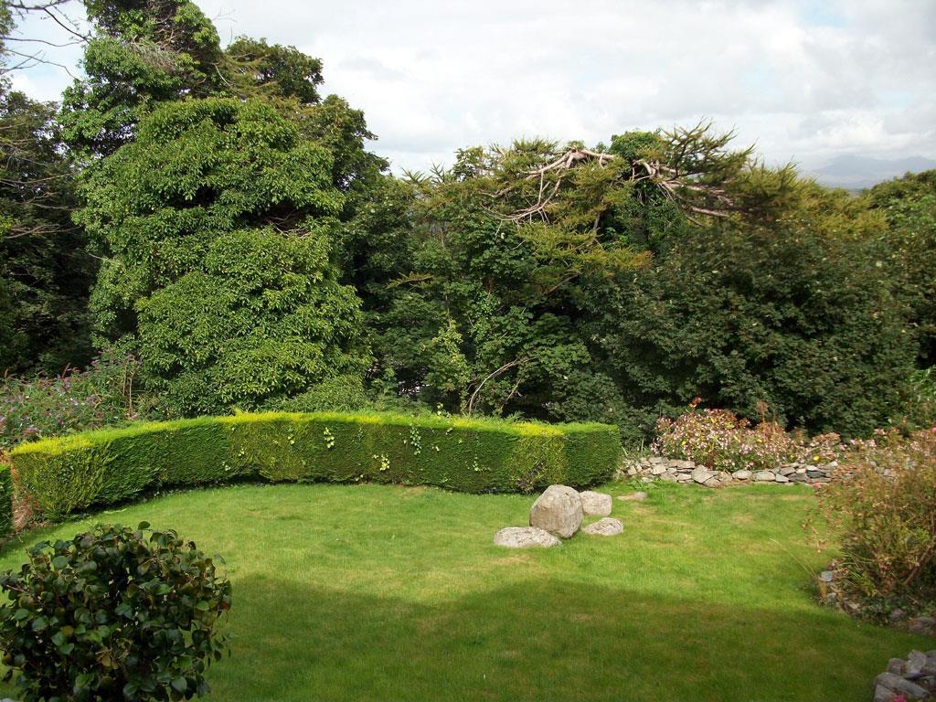Lawn.jpg